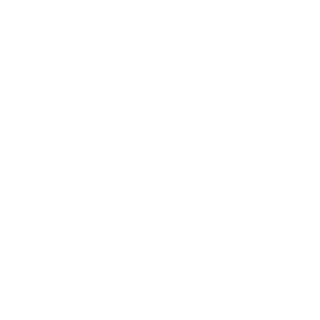 Logo NelsNovel